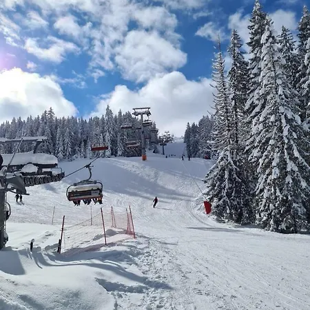 Randevu Nivalis ヤホリナ