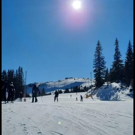 Randevu Nivalis Jahorina